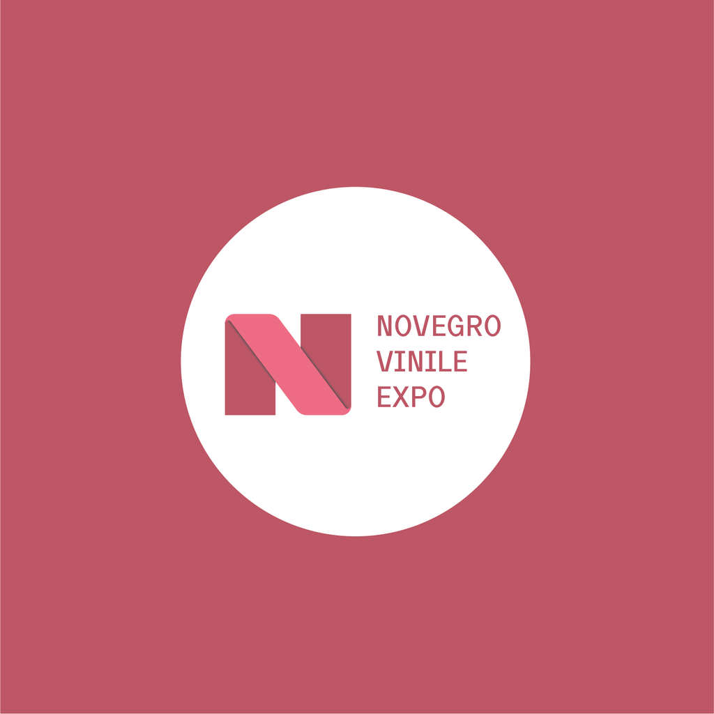 Dj Hub apre il proprio SOCIAL RECORD STORE ed espone al NOVEGRO VINILE EXPO 9 e 10 ottobre
