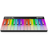 GPP 101 PIANO PRODIGY