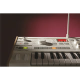 Korg - microKORG S